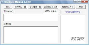 OneBlue正則表達(dá)式工具 1.1.0.0單文件版助您高效調(diào)試
